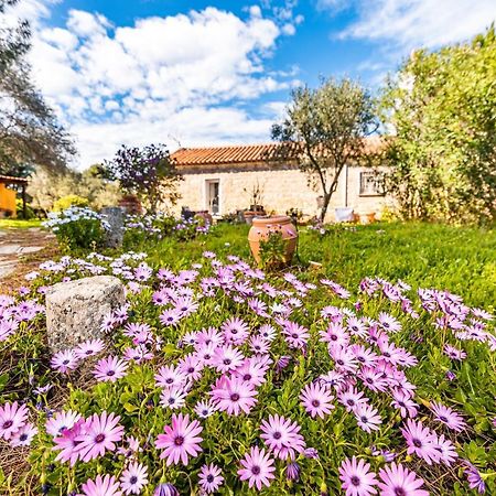 Casa Lilliosa Villa Campavaglio Bagian luar foto