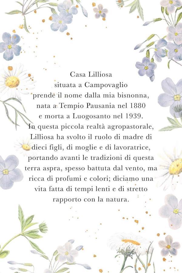 Casa Lilliosa Villa Campavaglio Bagian luar foto