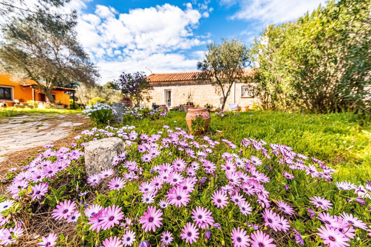 Casa Lilliosa Villa Campavaglio Bagian luar foto